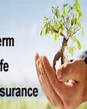 Save Big Bucks on Your Car Insurance