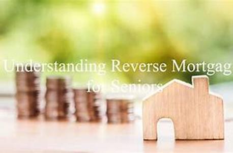 The Real Estate Market in Jacksonville, Florida