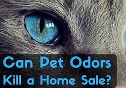 Obtaining Home Loans For Bad Credit