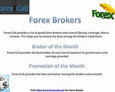 Forex Training: What to Look for in a Forex Training Program