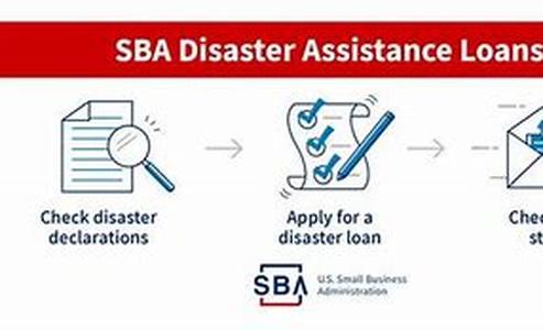 Key words: loans after bankruptcy