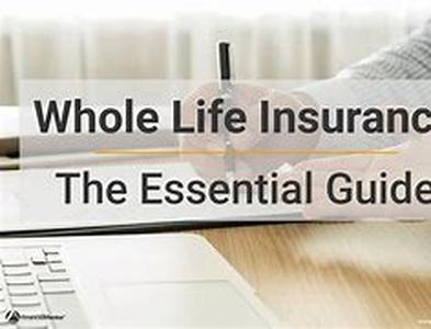 How To Get The Best Rates On Health Insurance In Florida