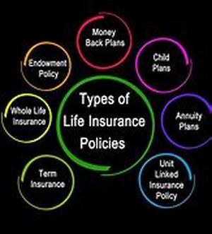 Key words: types of bankruptcy