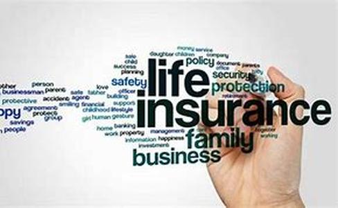 Life Insurance Facts