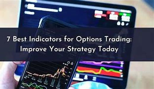 Options to Avoid in Credit Repair and Building