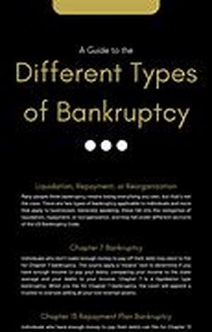 Bankruptcy Information: Some Basics