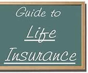 The Importance Of Business Credit Cards