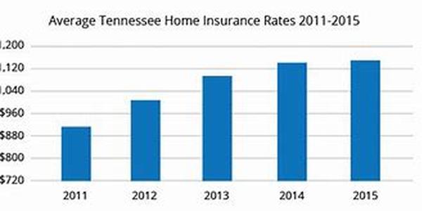 How To Compare Low Cost Health Insurance In Florida