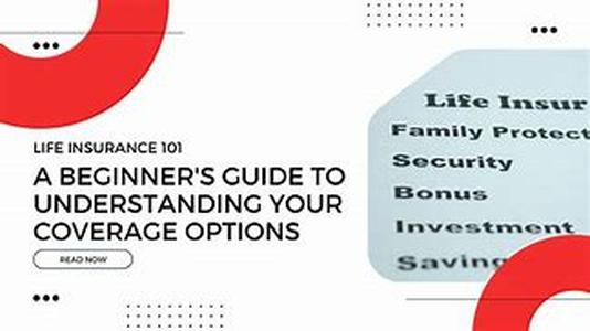 Life After Bankruptcy - How To Restore Your Credit After A Bankruptcy And Obtain A Mortgage
