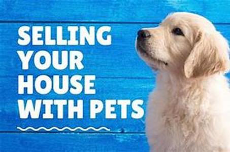 Selling Your Home is Easier if You Prepare First