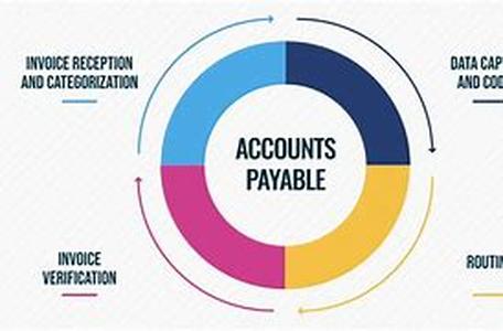 Accounting Professionals:  Are They Necessary