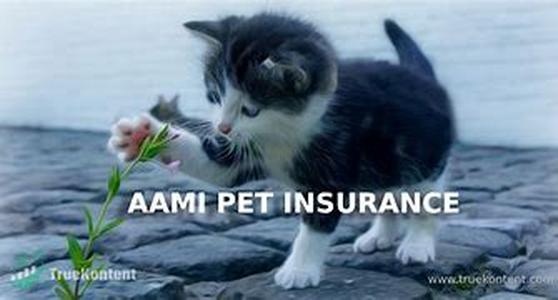 Insurance And Your Credit Report (Part II)