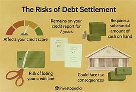 Debt Settlement Facts