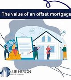 The New Investor Special Report