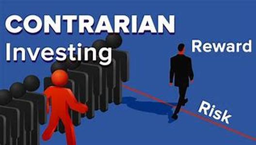 How to look for the Best No Load Mutual Funds