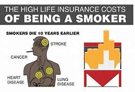 Insurance Coverage at a Glance