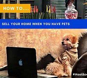 Selling Your Home  What Can Go Wrong With Pricing and Loans