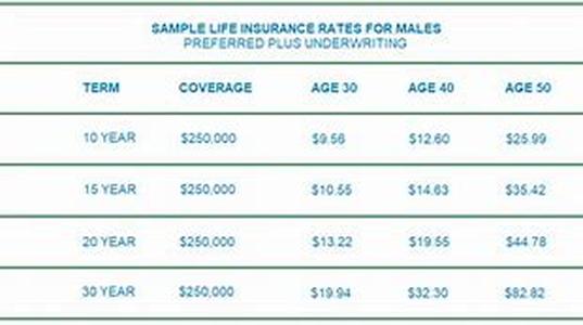 Cheap Car Insurance: Pro's And Con's Of Cheap Car Insurance