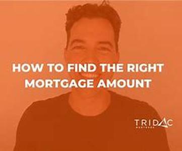 Finding the Perfect Cash Back Equity Loan Fast