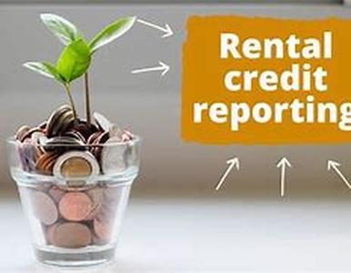 Credit Counseling Vs