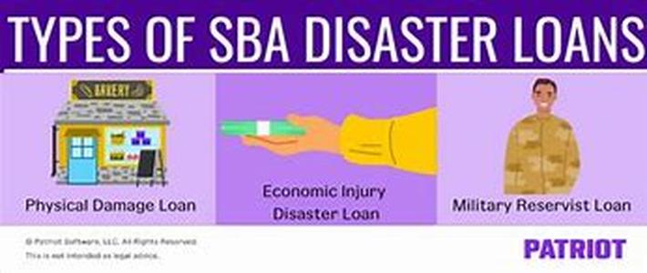 Loans