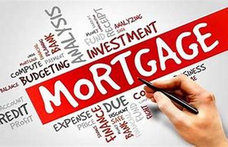 Which Forex Brokers Should You Give Your Money