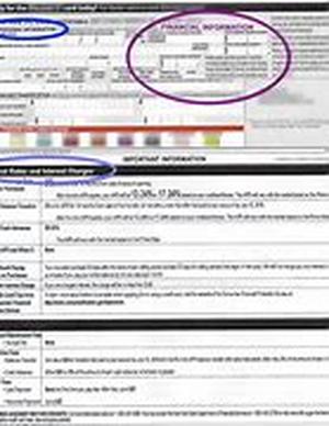 7 Ways To Protect And Improve Your Credit Rating