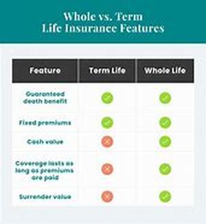 Term Life Insurance With Accidental Death And Dismemberment Rider