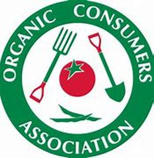 Organic Food Gift Baskets:  The Perfect Gift for Many