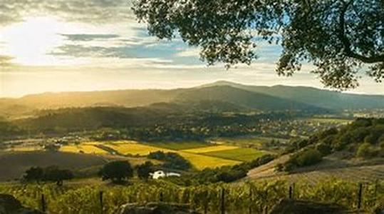 The Italian Food of Trentino-Alto Adige