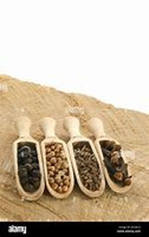South African corn and small grains