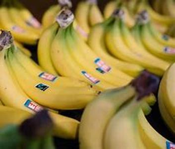 Exploring Organic Food Delivery