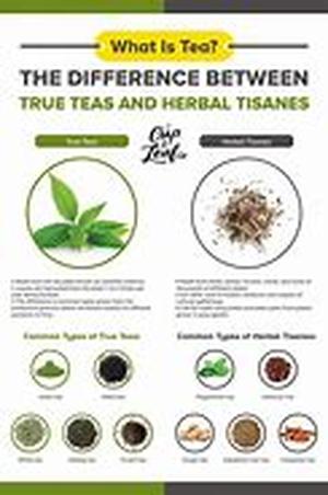 Tea: Comparing Ceylon Green Teas To Indian Green Teas