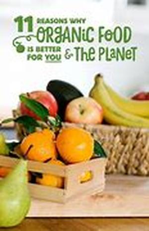 Wholesome Kosher Food Means Quality Family Meals