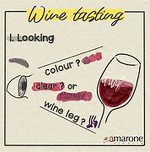 Wine Storage Temperature And Serving Suggestions