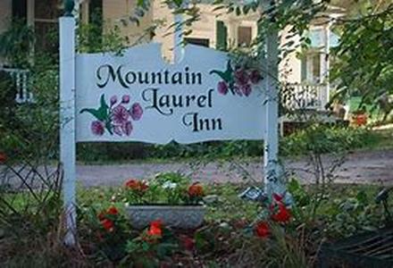 Introduction to the Yountville Wine Region in Napa Valley