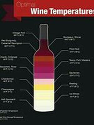 Wine lovers have a place in Hungary