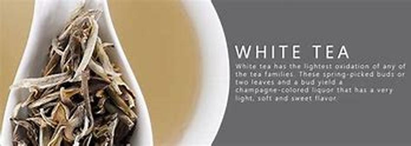 Tea: How Do You Drink White Tea