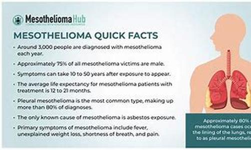 Mesothelioma support  You are not Alone