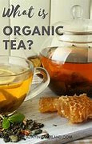 Organic Pet Food:  Is There Such A Thing