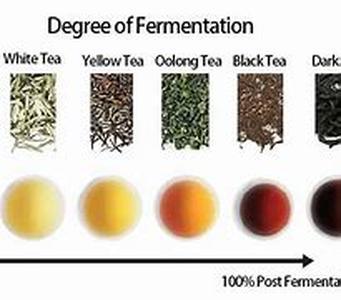 The Legend of Coffee