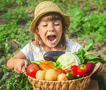 38  Sample Vegetarian Diet Including Essential Fatty Acids to Promote Healing
