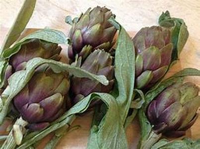 Italian Cuisine: More Than Pasta