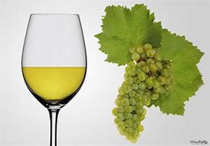 Champagne - 15 Great Quotes about Bubbly