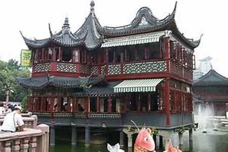 Chinese Tea Cups