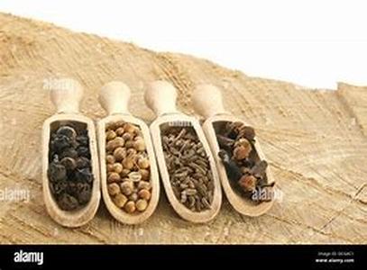 South African main course cuisine