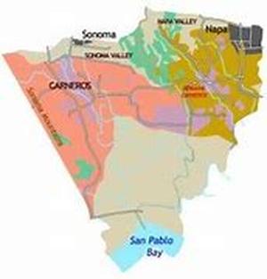 Guide to Rutherford Wineries in Napa Valley