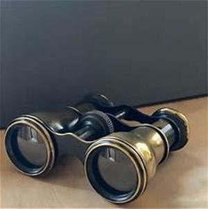 8x42 Binoculars