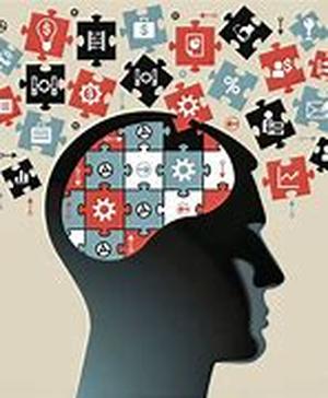 Mind Puzzles Building the Brain