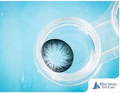 Things Everyone Ought To Know About Staph Infections